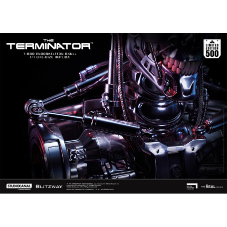 Blitzway - T800 Endoskeleton Skull 1/1 Life Size - The Terminator