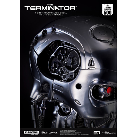 Blitzway - T800 Endoskeleton Skull 1/1 Life Size - The Terminator