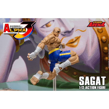 Storm Collectibles - SAGAT - Street Fighter Alpha Storm Arena 1/12