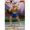 Storm Collectibles - SAGAT - Street Fighter Alpha Storm Arena 1/12