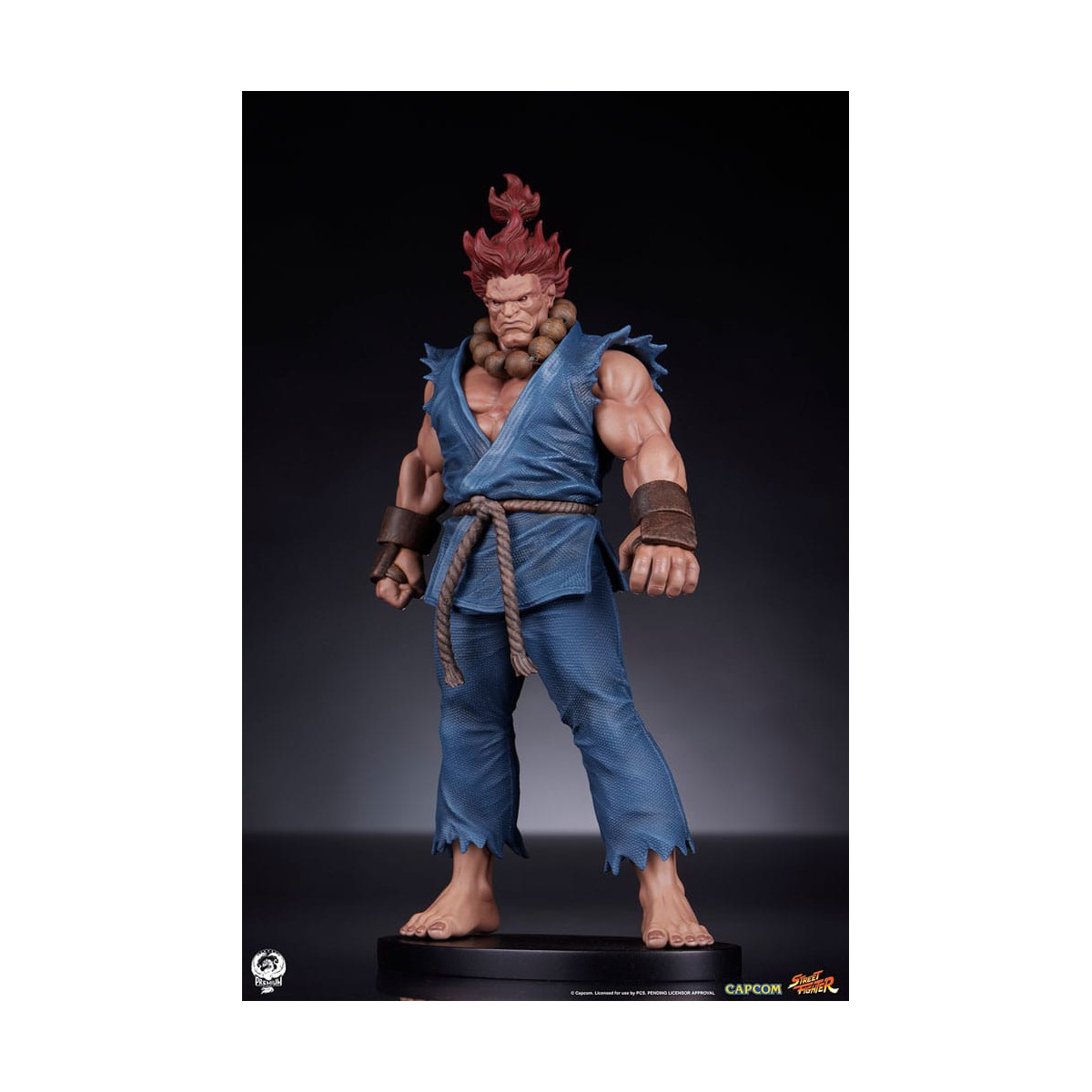 PCS - Street Fighter: Street Jam - Akuma & Dhalsim 1:10 Scale Statue Set