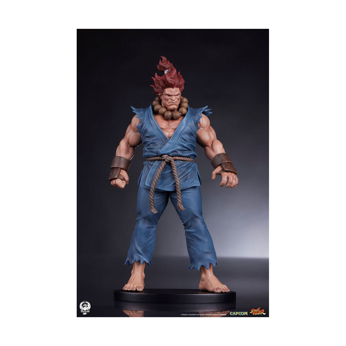 PCS - Street Fighter: Street Jam - Akuma & Dhalsim 1:10 Scale Statue Set