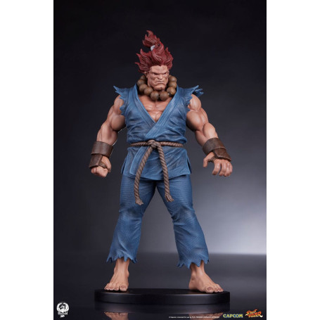 PCS - Street Fighter: Street Jam - Akuma & Dhalsim 1:10 Scale Statue Set