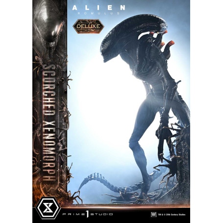 Prime 1 Studio - Scorched Xenomorph DX Bonus Version 1/3 - Alien: Romulus Museum Masterline XL