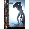 Prime 1 Studio - Scorched Xenomorph DX Bonus Version 1/3 - Alien: Romulus Museum Masterline XL