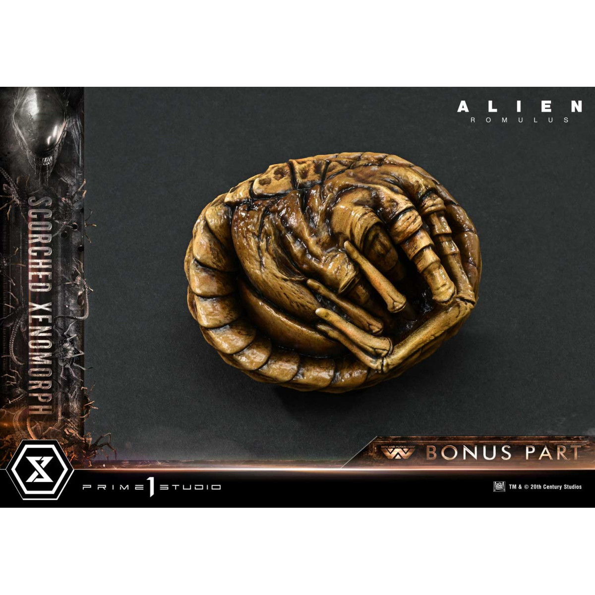 Prime 1 Studio - Scorched Xenomorph DX Bonus Version 1/3 - Alien: Romulus Museum Masterline XL