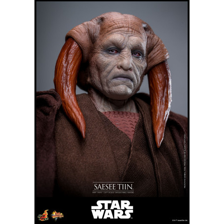 Hot Toys Star Wars - Saesee Tiin MMS1/6 - Die Rache der Sith