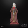 Star Wars The Black Series - Shaak Ti - Attack of the Clones