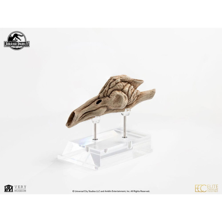 ECC Elite Creature Collectibles - Jurassic Park 3 Velociraptor Resonanzkammer 1/1
