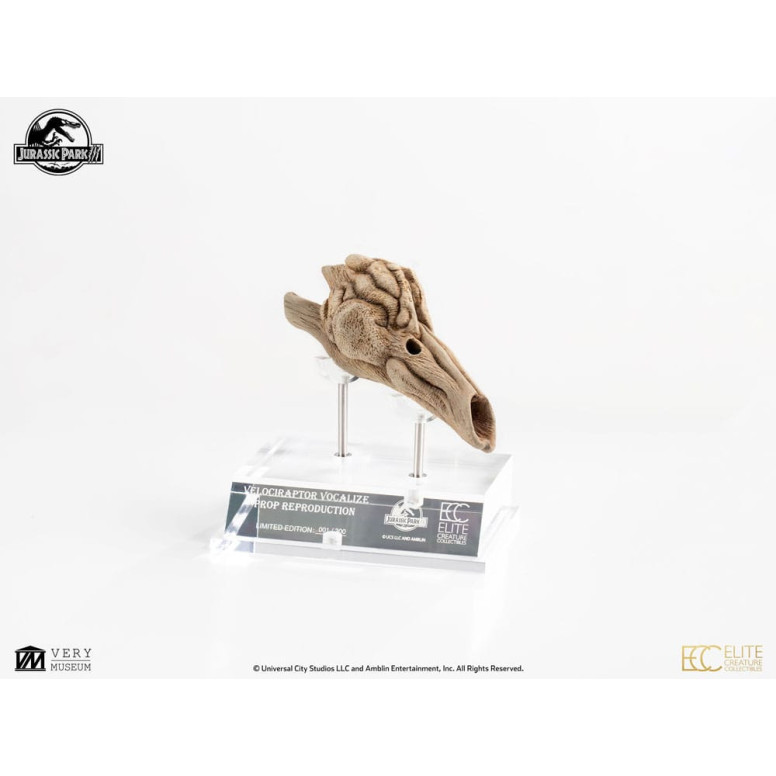 ECC Elite Creature Collectibles - Jurassic Park 3 Velociraptor Resonanzkammer 1/1