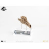 ECC Elite Creature Collectibles - Jurassic Park 3 Velociraptor Resonanzkammer 1/1