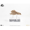 ECC Elite Creature Collectibles - Jurassic Park 3 Velociraptor Resonanzkammer 1/1