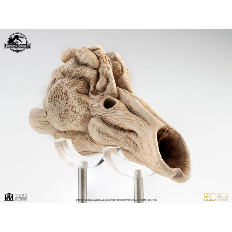 ECC Elite Creature Collectibles - Jurassic Park 3 Velociraptor Resonanzkammer 1/1