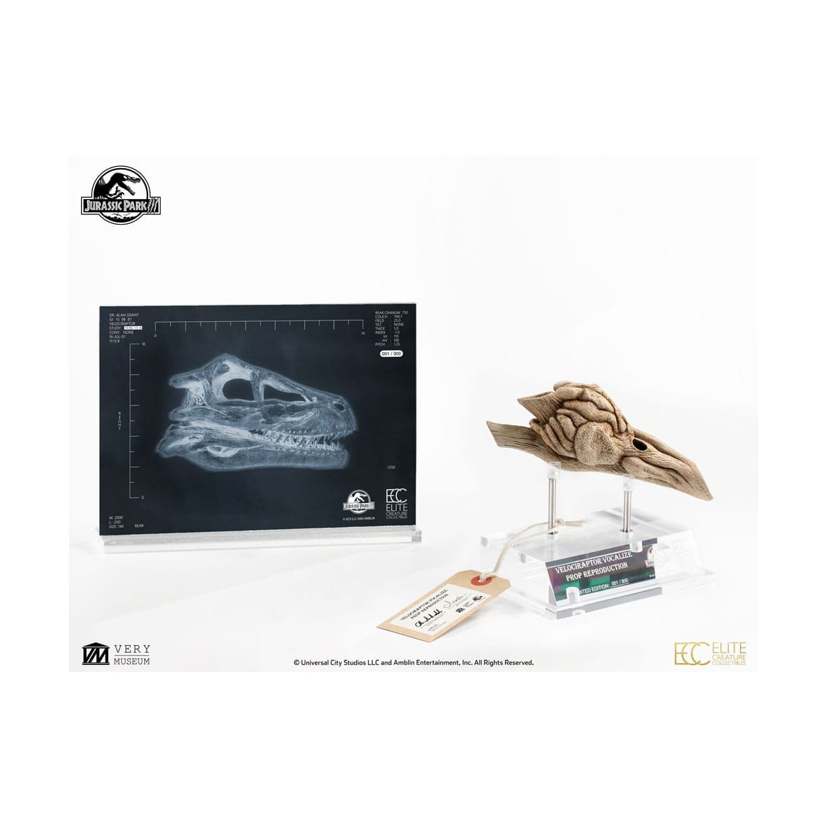 ECC Elite Creature Collectibles - Jurassic Park 3 Velociraptor Resonanzkammer 1/1
