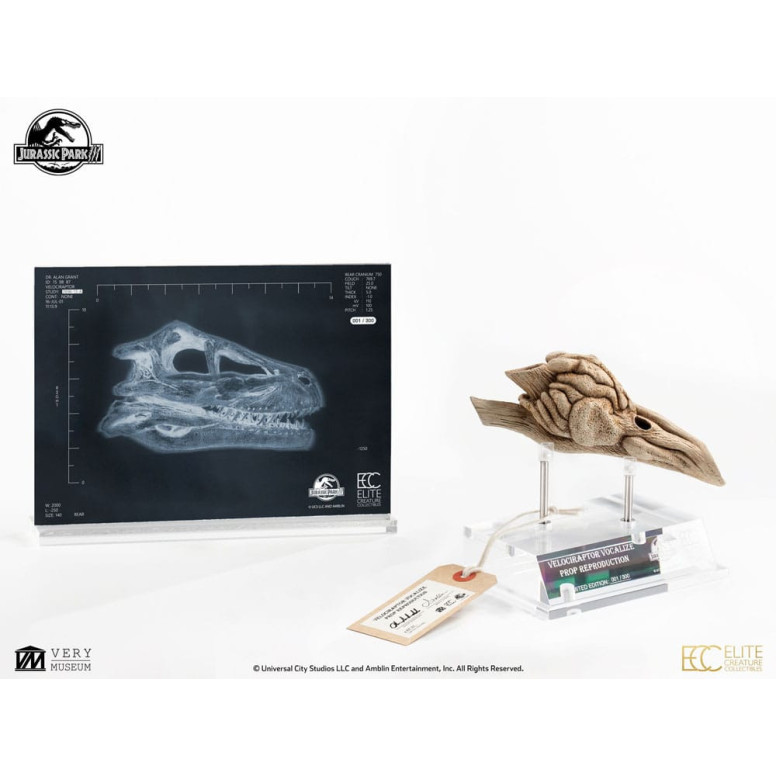 ECC Elite Creature Collectibles - Jurassic Park 3 Velociraptor Resonanzkammer 1/1