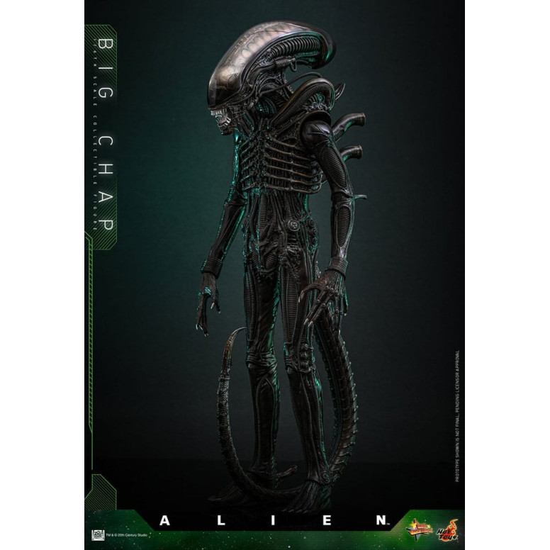 Hot Toys - Alien - Big Chap v2 MMS 1/6
