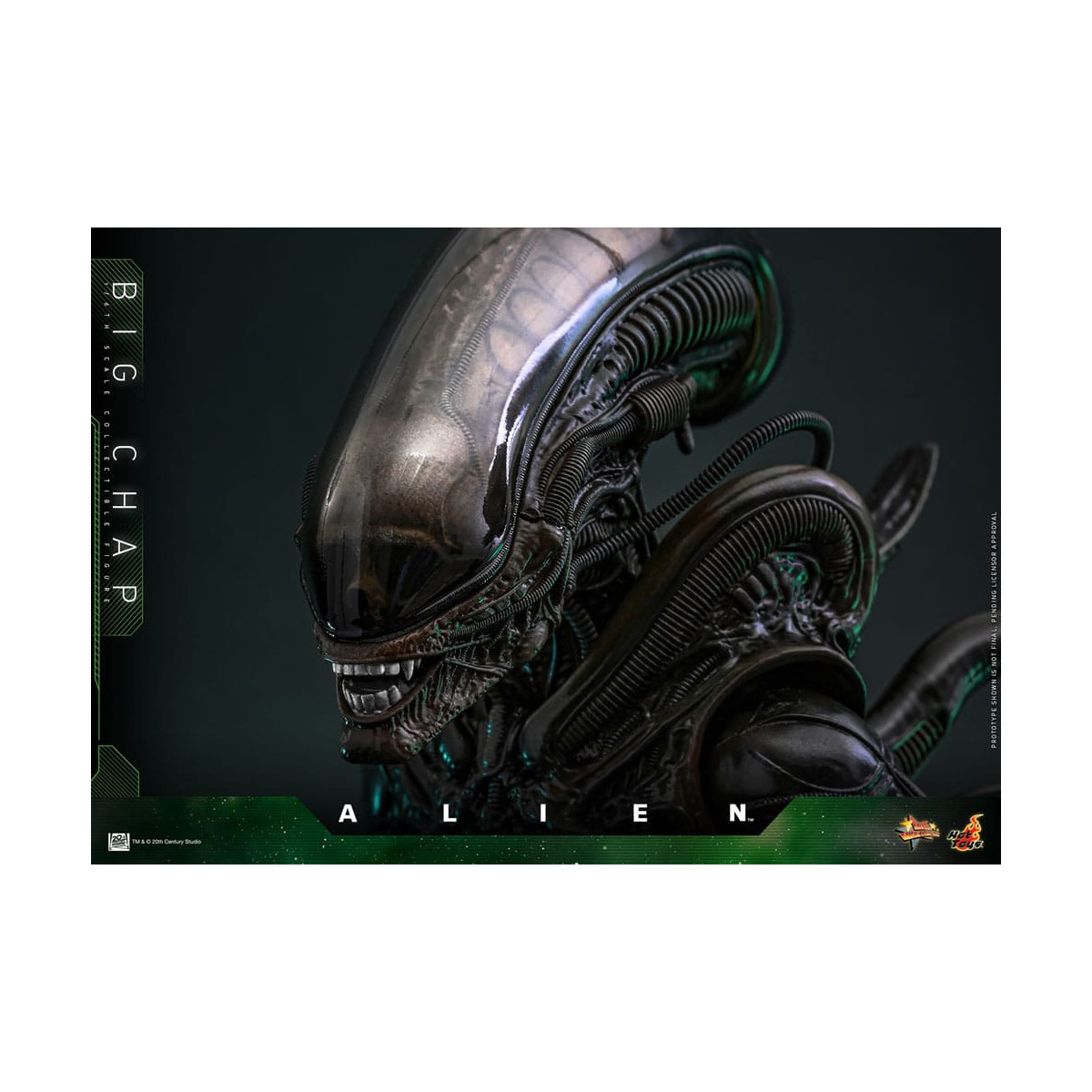 Hot Toys - Alien - Big Chap v2 MMS 1/6