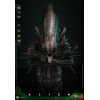 Hot Toys - Alien - Big Chap v2 MMS 1/6