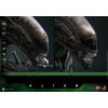 Hot Toys - Alien - Big Chap v2 MMS 1/6