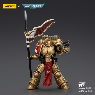 JoyToy Space Marines - Blood Angels - Combat Patrol Blood Angels Sanguinary Guard 3 mit Angelus Boltgun und Encarmine
