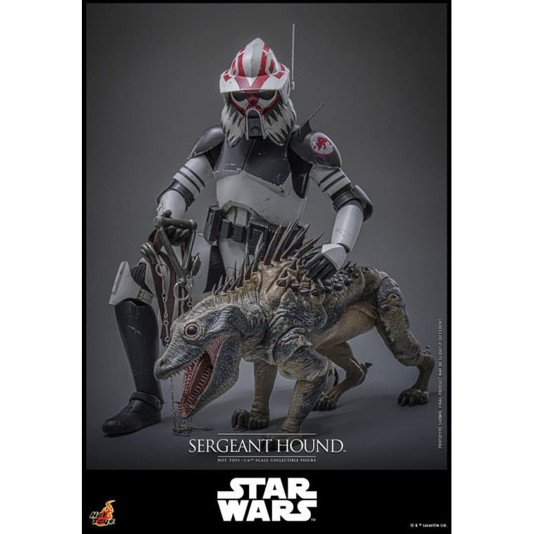 Hot Toys Star Wars - Sergeant Hound - The Clone Wars 1/6