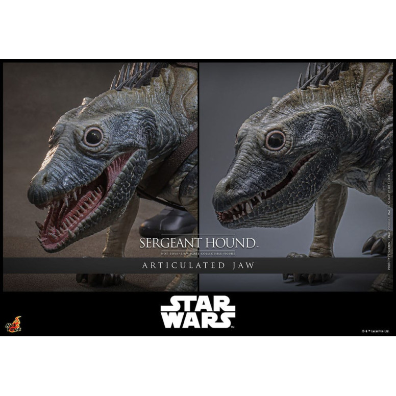 Hot Toys Star Wars - Sergeant Hound - The Clone Wars 1/6