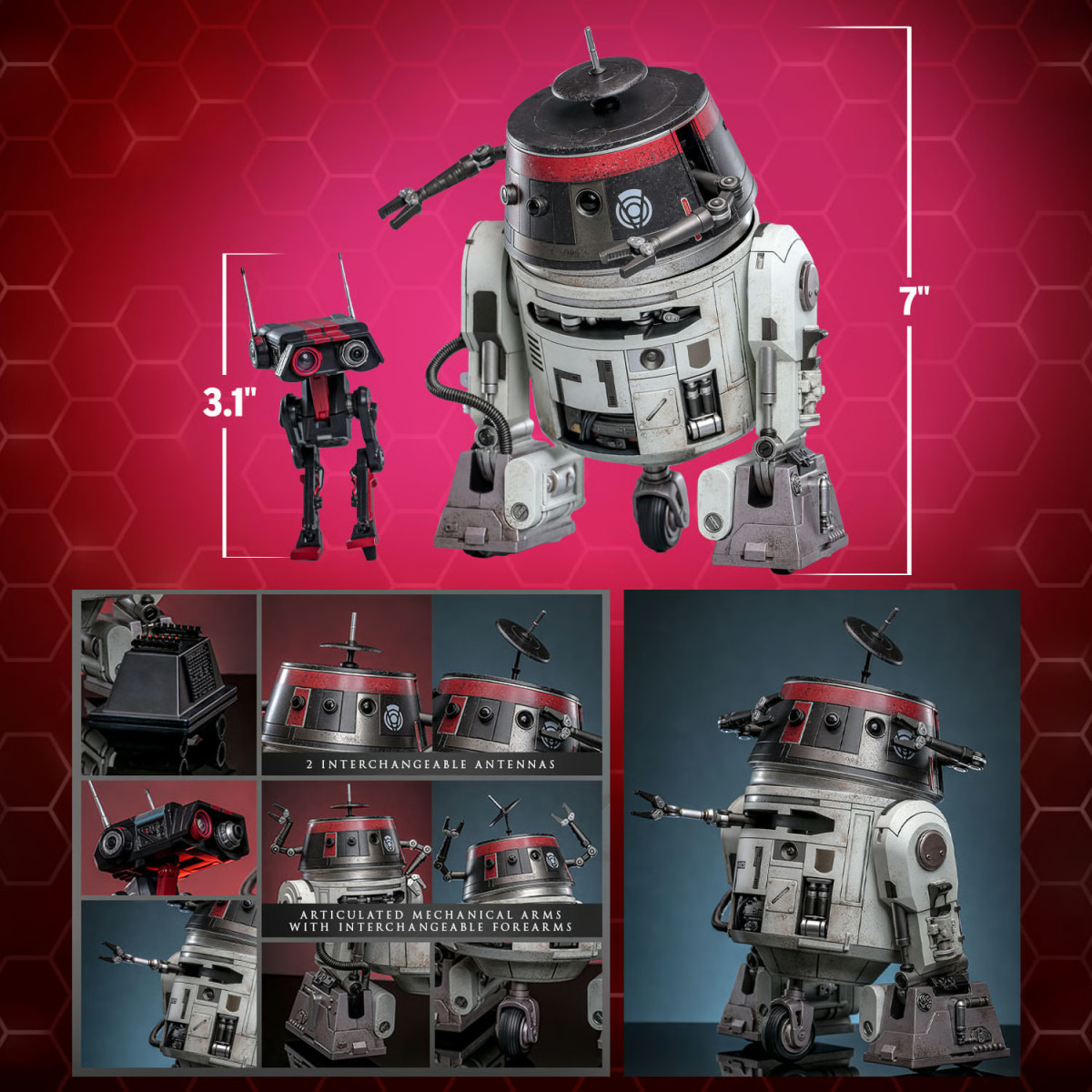 Hot Toys Star Wars - Chopper (C1-10P) & BD-1 (imperiale Verkleidung) - Rebels Hot Toys Exclusive