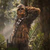 Iron Studios Star Wars - Chewbacca und Tokkat Kunst Maßstab 1/10 - Die Rückkehr der Jedi