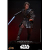 Hot toys Star Wars: Anakin Skywalker MMS839 1/6 - Episode III: Die Rache der Sith