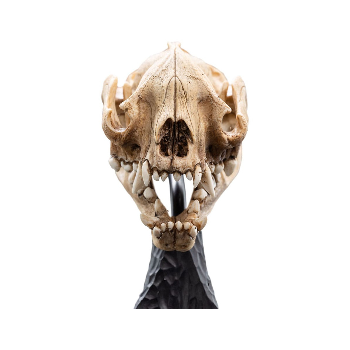 Weta - Der Herr der Ringe - Schädel des Warg - LOTR