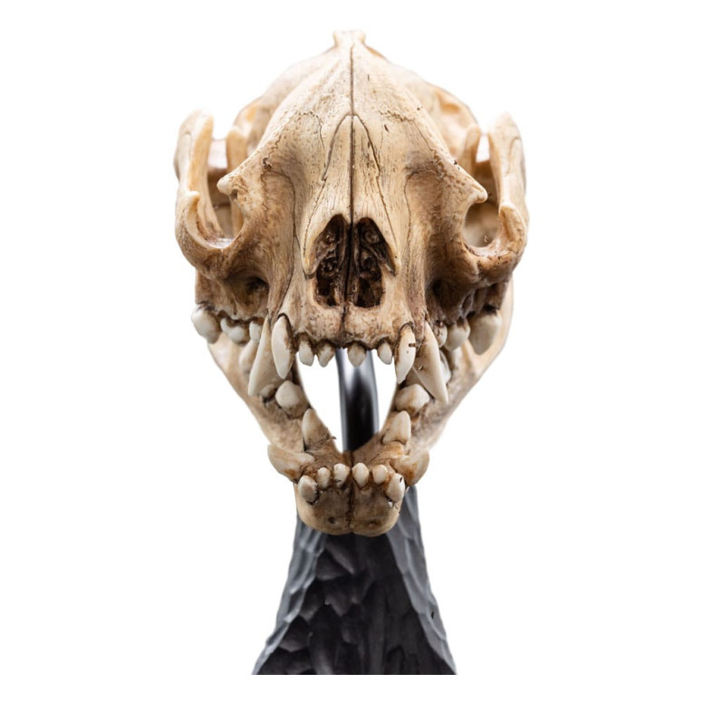 Weta - Der Herr der Ringe - Schädel des Warg - LOTR