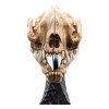 Weta - Der Herr der Ringe - Schädel des Warg - LOTR