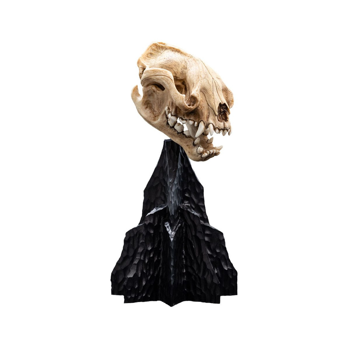 Weta - Der Herr der Ringe - Schädel des Warg - LOTR