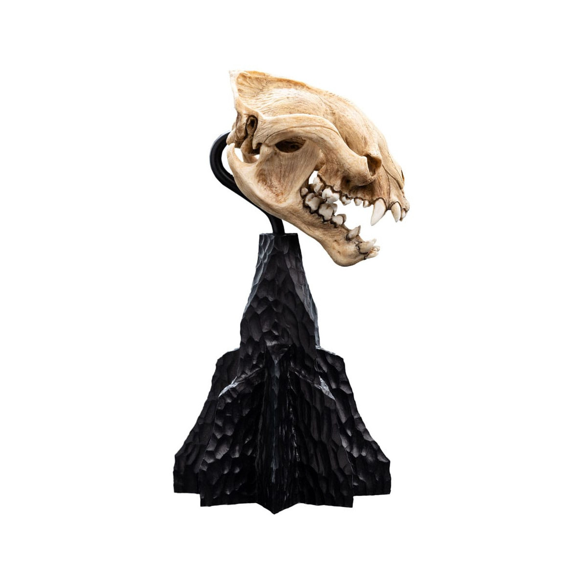 Weta - Der Herr der Ringe - Schädel des Warg - LOTR