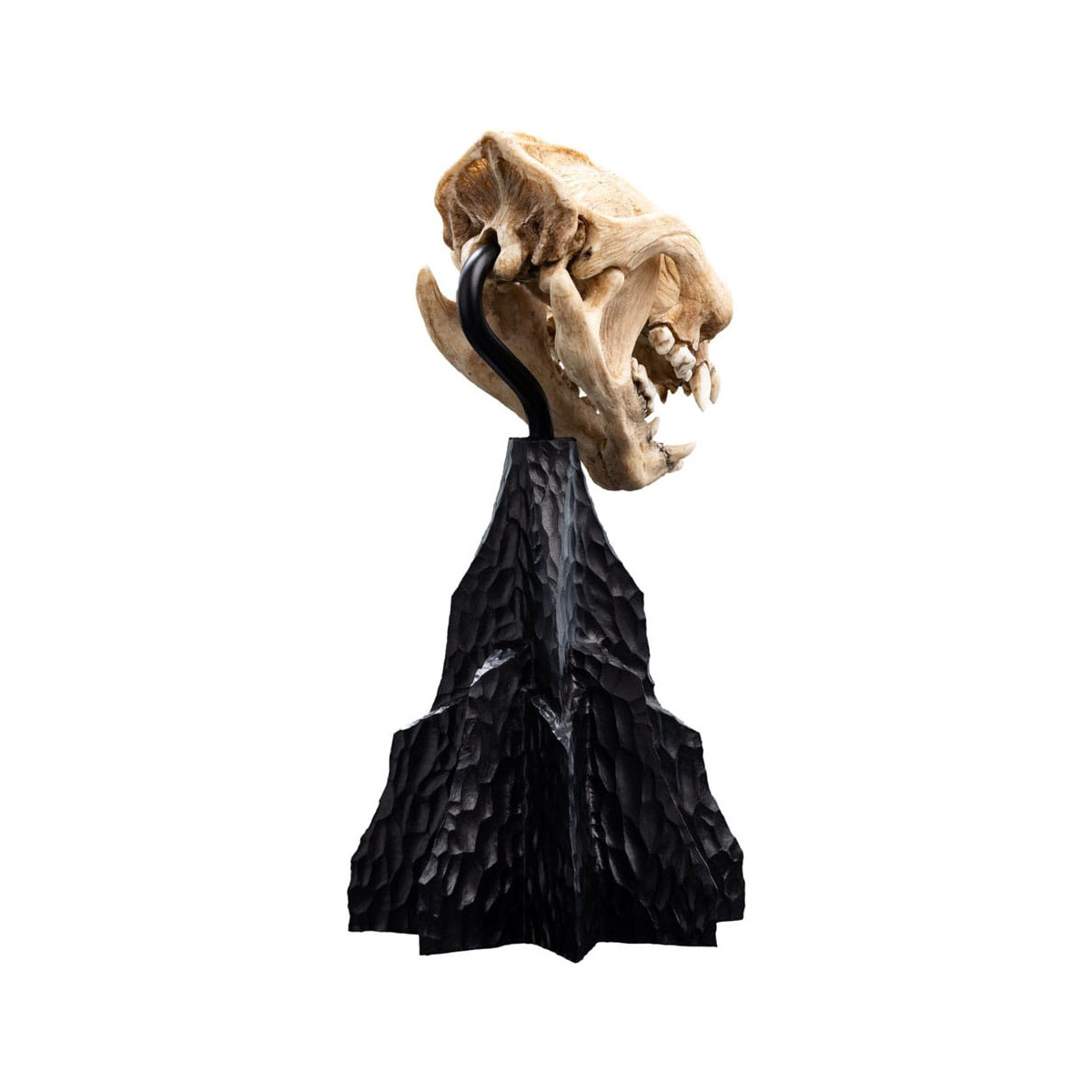 Weta - Der Herr der Ringe - Schädel des Warg - LOTR