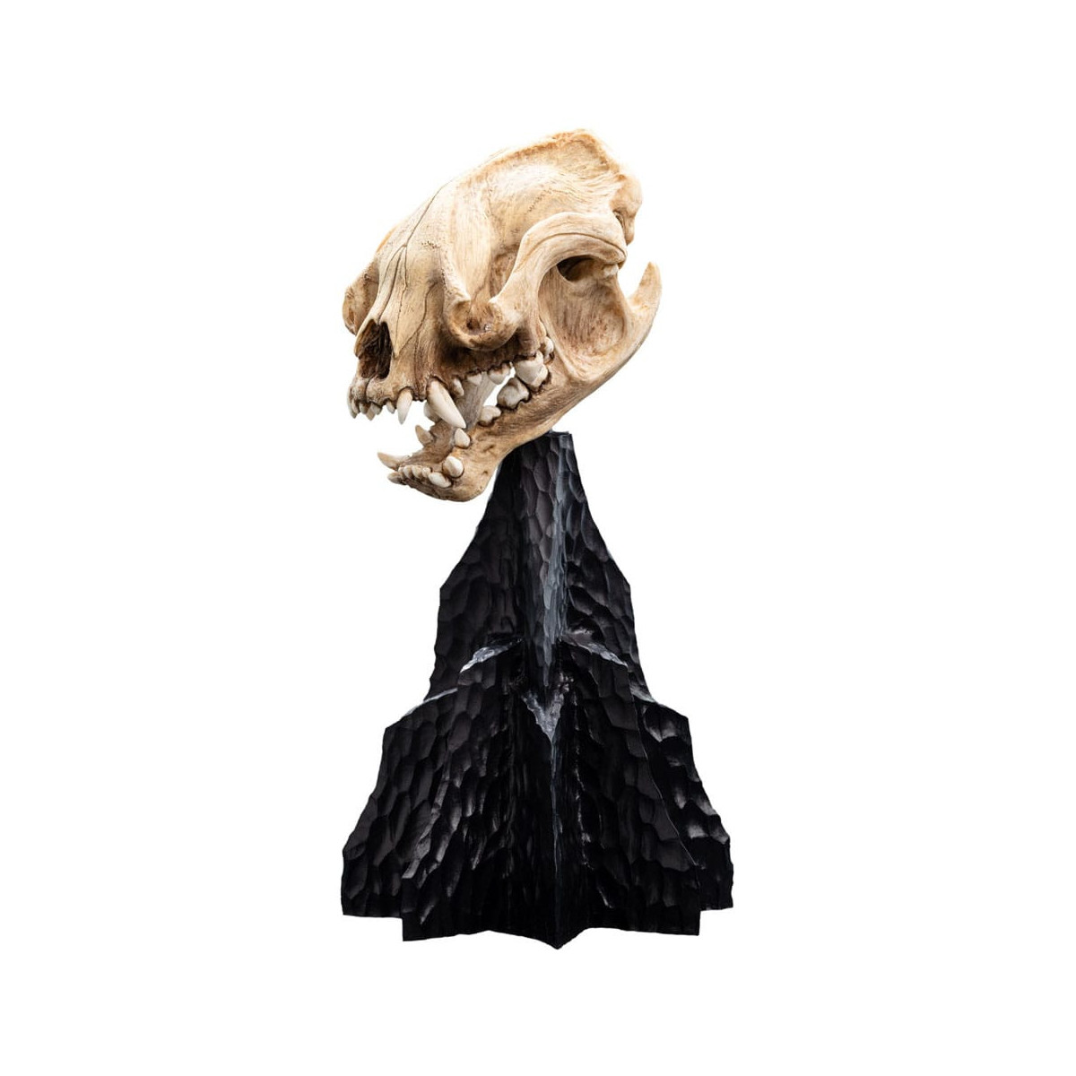 Weta - Der Herr der Ringe - Schädel des Warg - LOTR