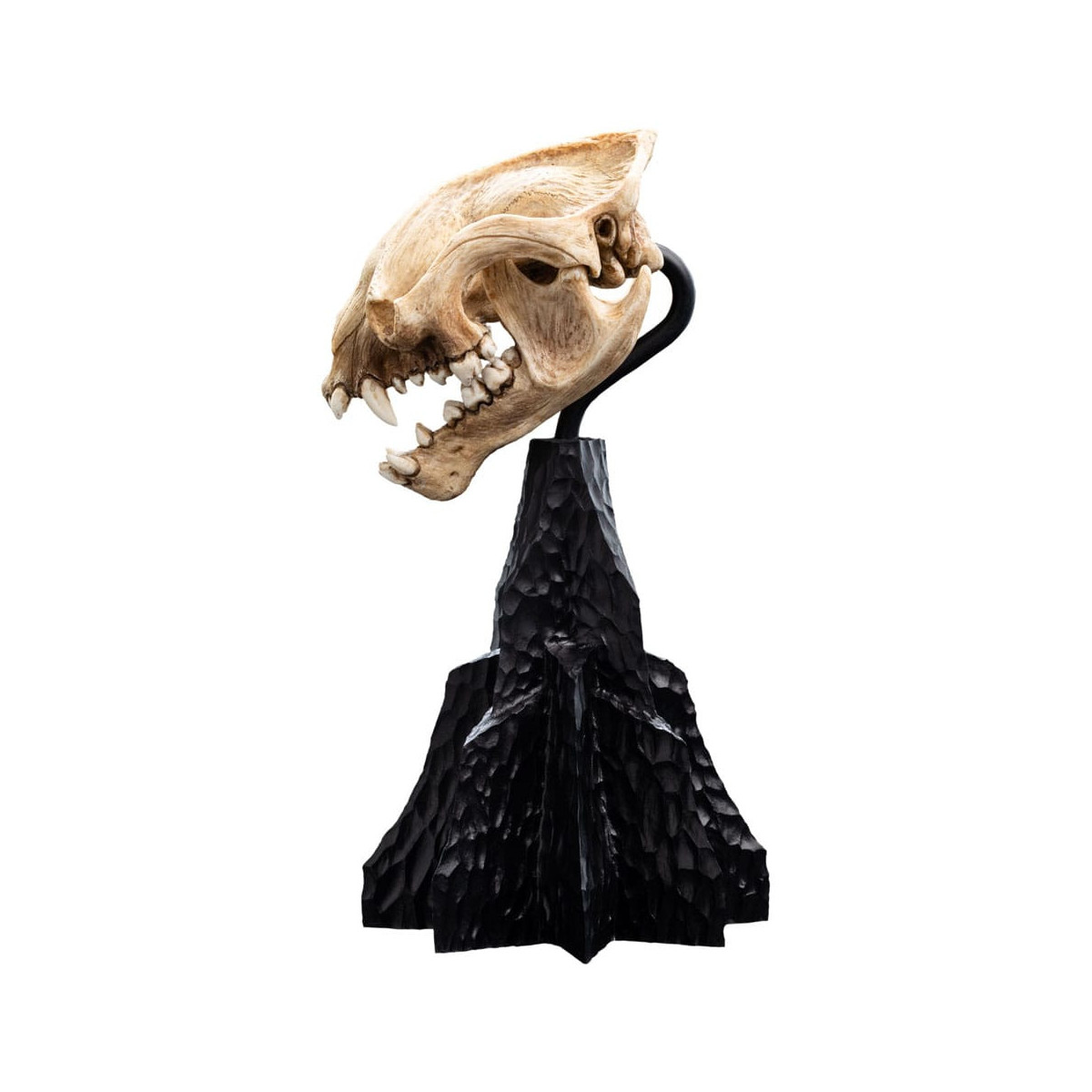 Weta - Der Herr der Ringe - Schädel des Warg - LOTR