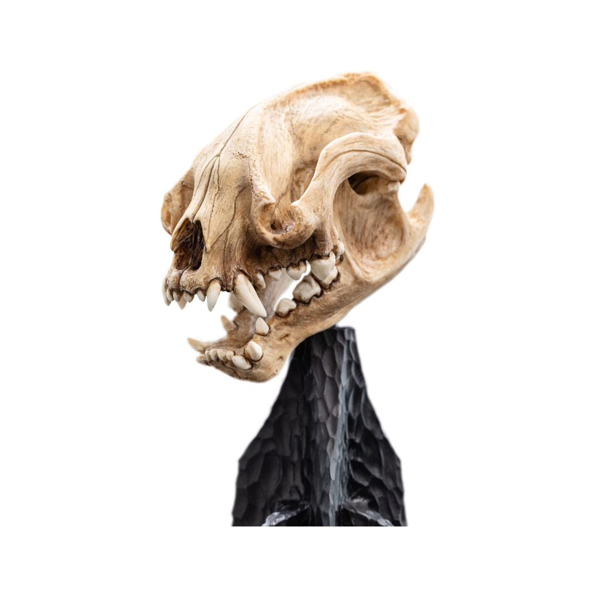 Weta - Der Herr der Ringe - Schädel des Warg - LOTR
