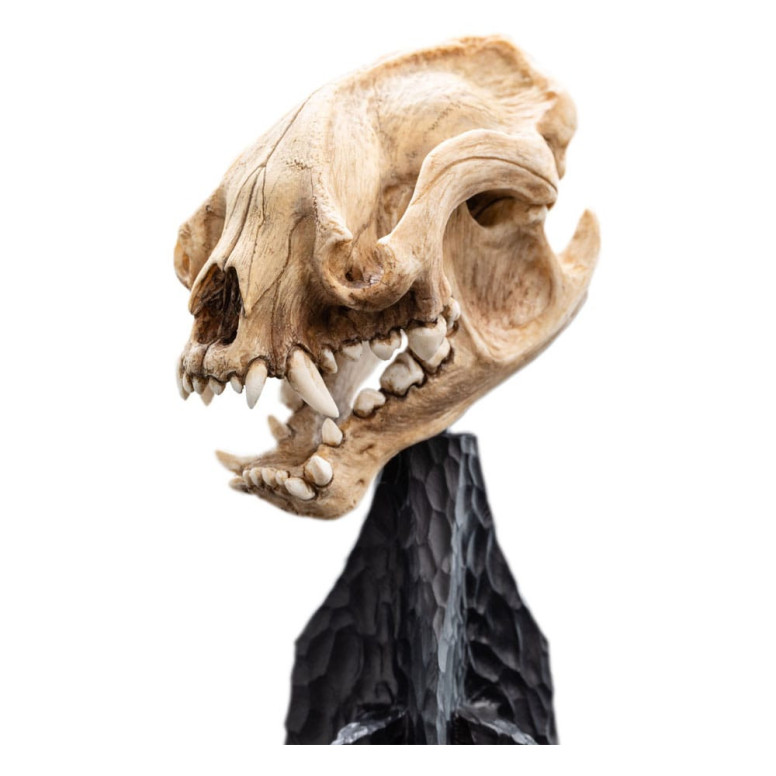 Weta - Der Herr der Ringe - Schädel des Warg - LOTR
