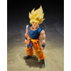 Bandai Tamashii - Dragon Ball Z - Super Saiyan Son Goku (Kämpfer der Wut) - SHF SHFiguarts