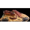 Weta Statue Smaug King Under the mountain