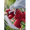 GoodSmile - InuYasha Statue pvc 1/7