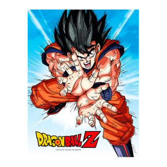 SD Toys - Dragonball Z Glasposter "GOKU KAMEHA