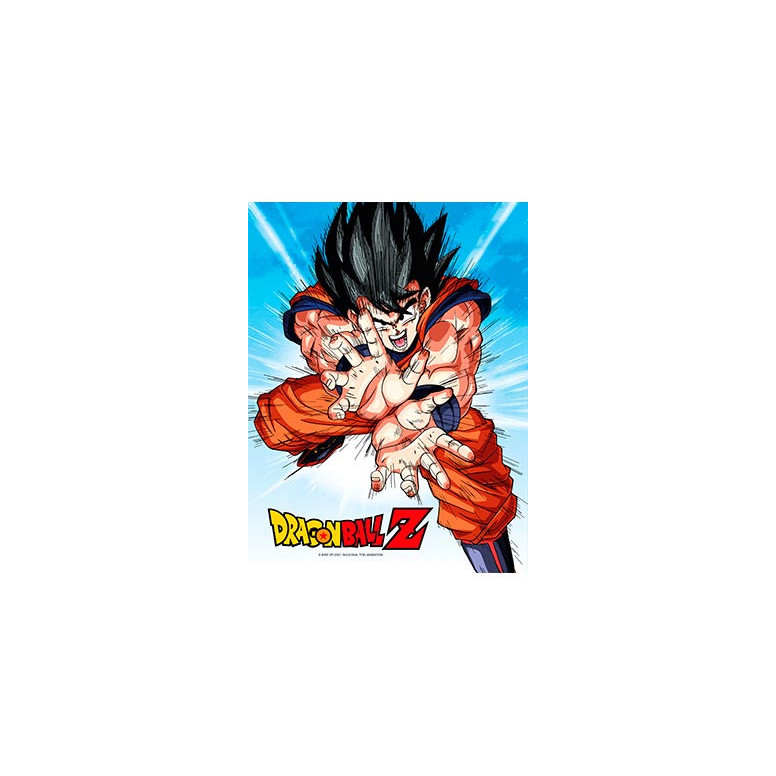SD Toys - Dragonball Z Glasposter "GOKU KAMEHA