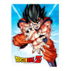 SD Toys - Dragonball Z Glasposter "GOKU KAMEHA