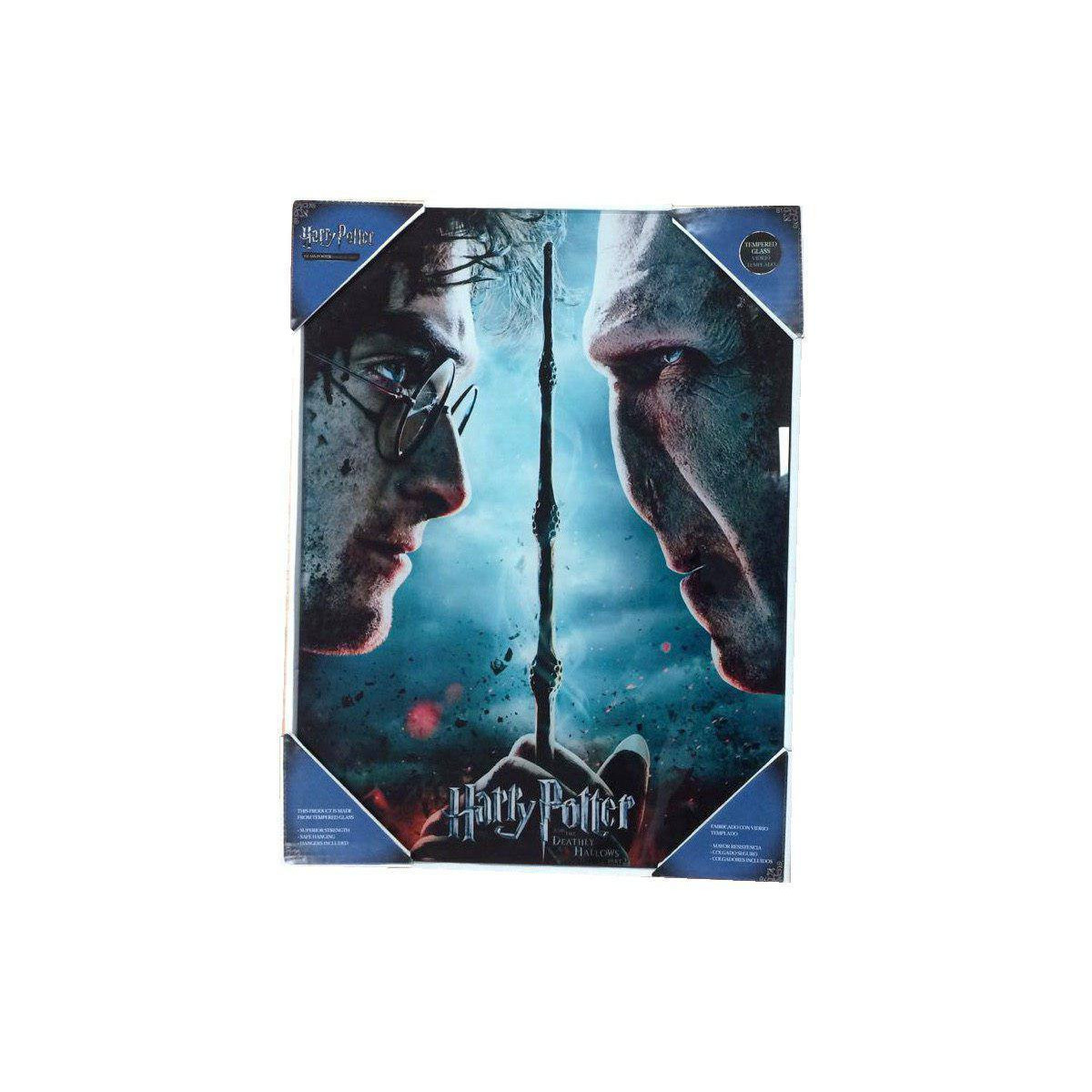 SD Toys - Harry Potter "Harry und Voldemort" Glasposter
