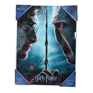 SD Toys - Harry Potter "Harry und Voldemort" Glasposter
