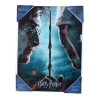 SD Toys - Harry Potter "Harry und Voldemort" Glasposter