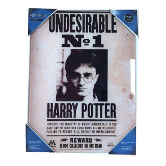 SD Toys - Harry Potter Glasposter "Unerwünscht Nr. 1