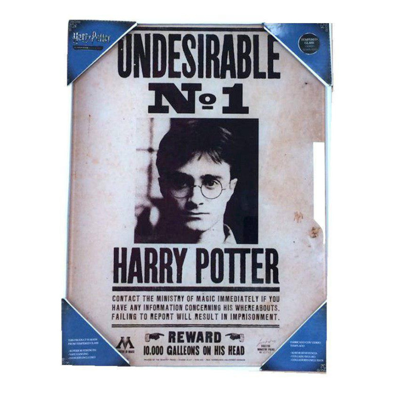 SD Toys - Harry Potter Glasposter "Unerwünscht Nr. 1